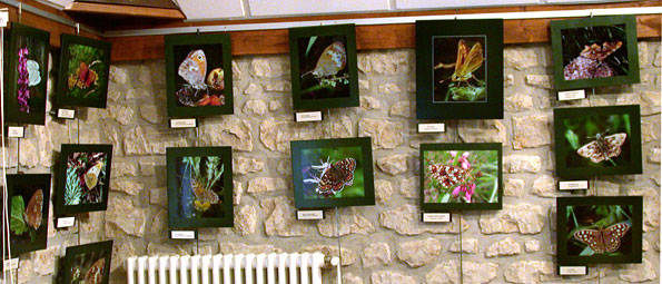 Exposition de la Roche-Posay
