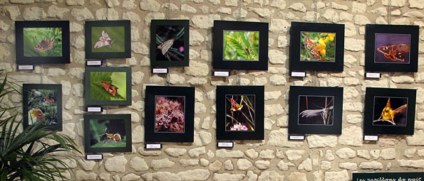 Exposition de la Roche-Posay